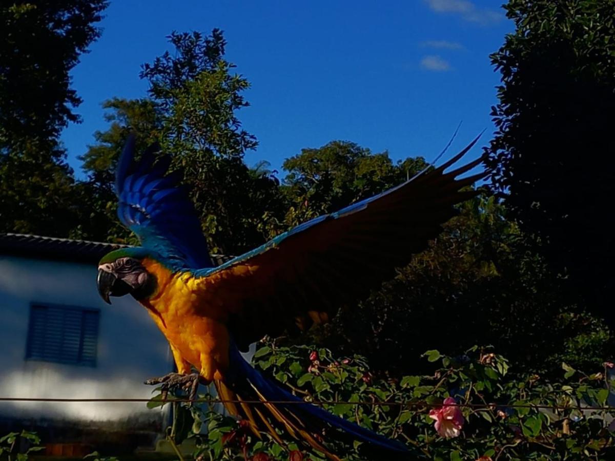 Alto Paraíso de Goiás Pousada Casa Rosa מראה חיצוני תמונה