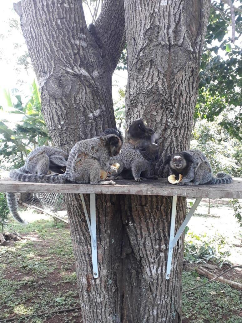 Alto Paraíso de Goiás Pousada Casa Rosa מראה חיצוני תמונה
